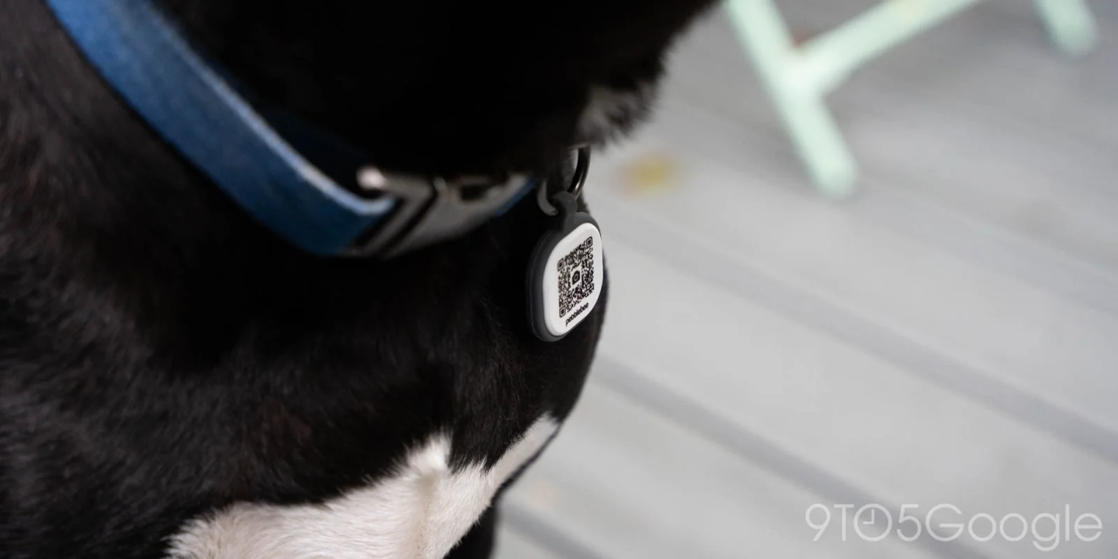Pebblebee Introduces Battery-Free Tags for Luggage and Pets Enhancing Recovery Options